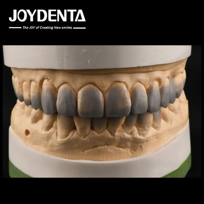 購入 仮用 診断用 歯磨き用 滑らかな質感 歯磨き用 カスタム オンライン製造