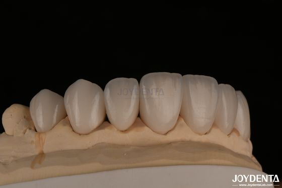 フィールドスパシック 自然な外見の化粧品 プレスフィット 高度透明