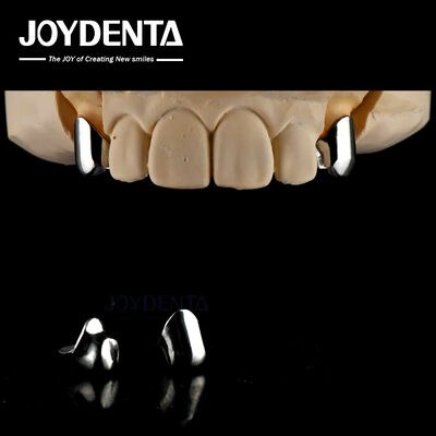 精密 取れる 義肢 歯科 インプラント 付属品 簡単 清潔 快適 適格